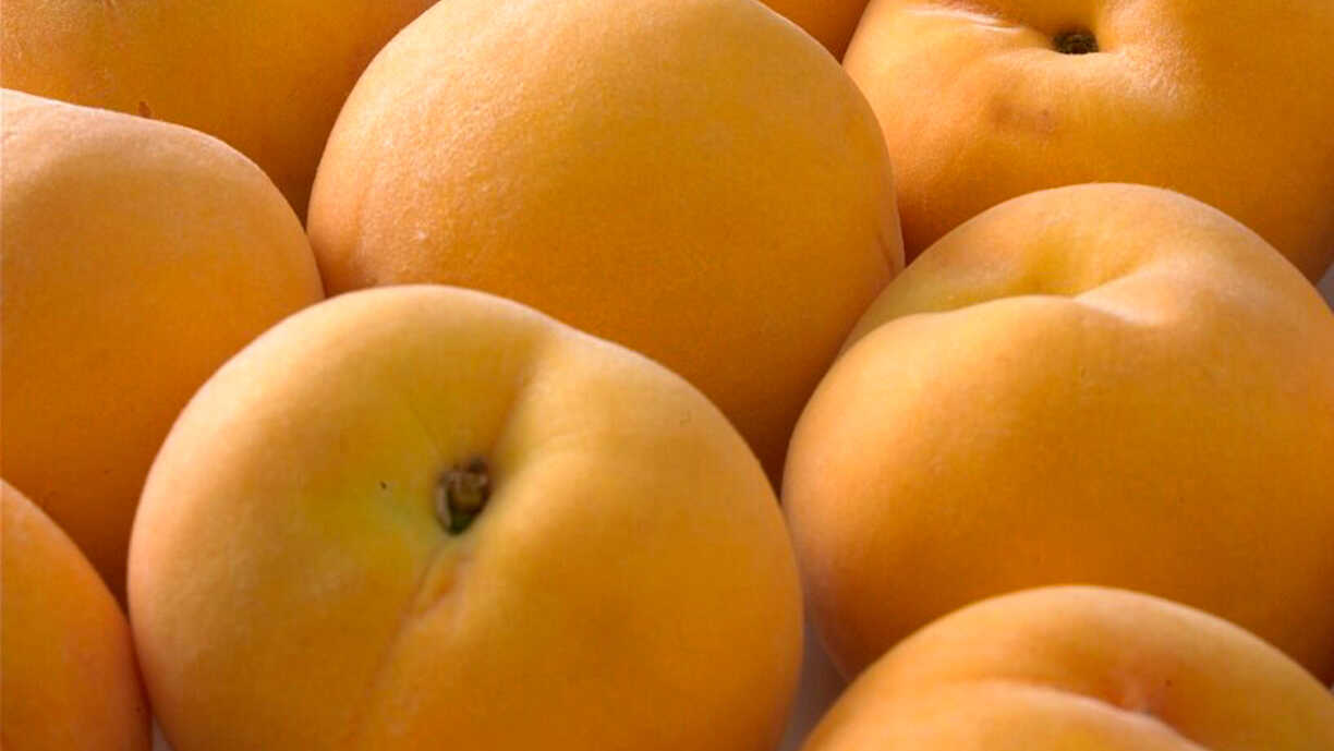 Summer takes toll on Aragon's farms as heat cuts production by up to 20%