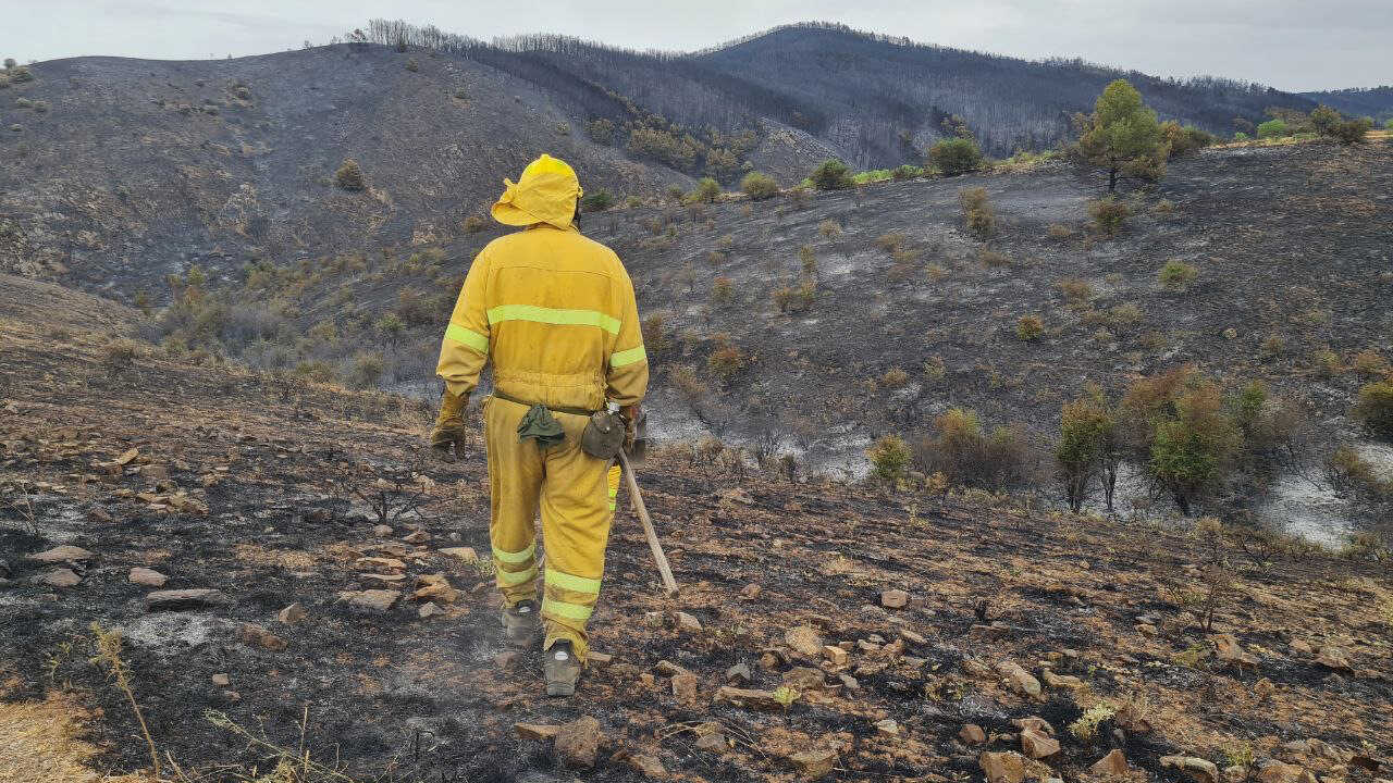 CHA blocks PP wildfire statement as Marín accuses it of “cynically exploiting” the fires