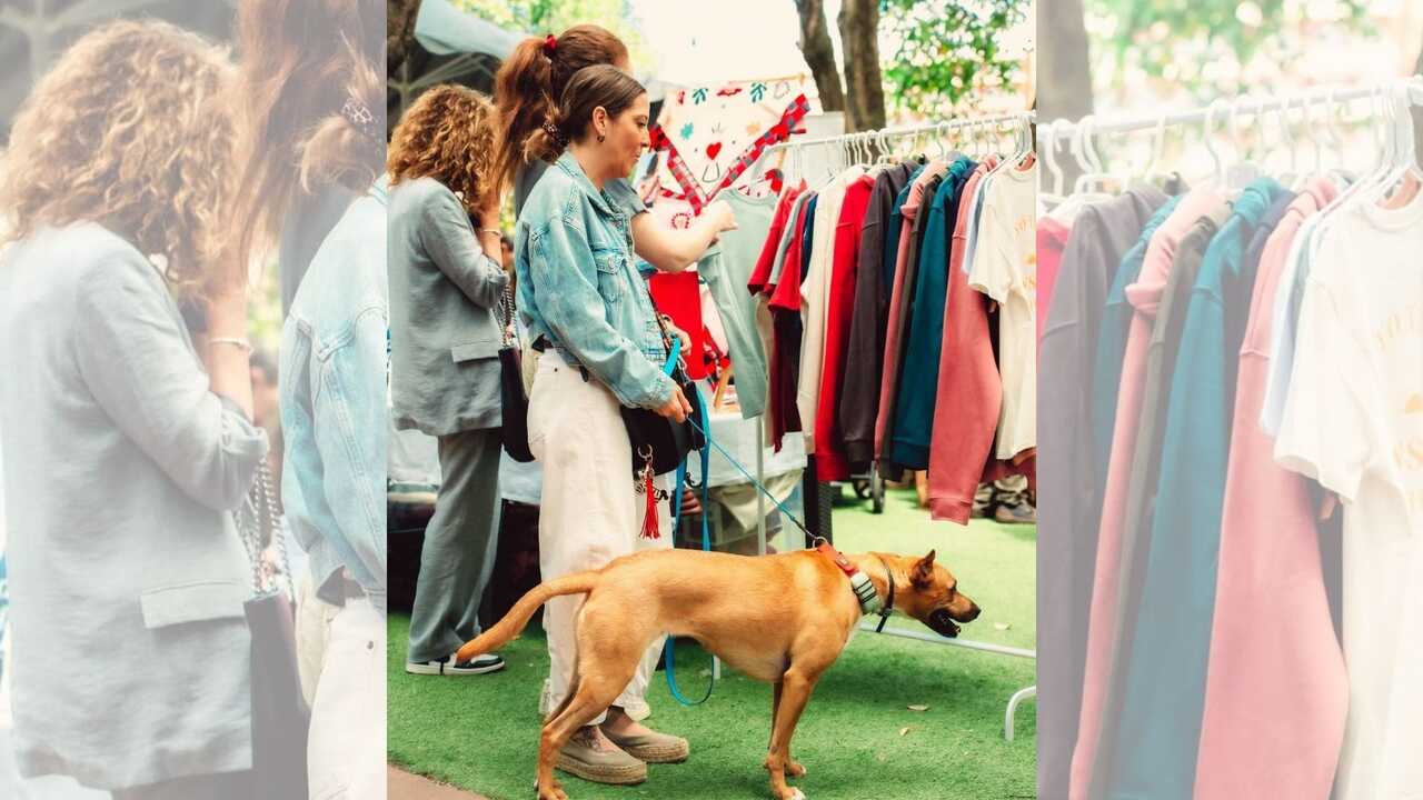 Zaragoza fills with flea markets: five you can't miss this September