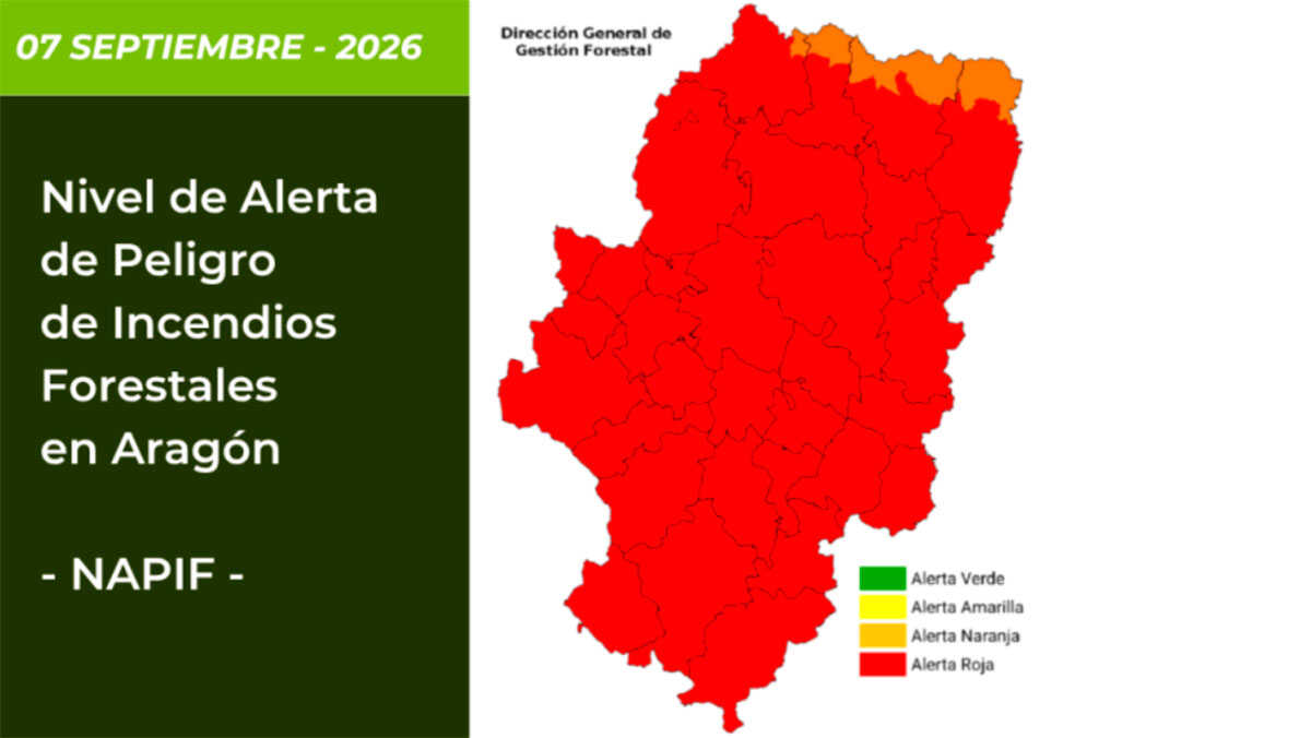 Nearly all Aragon under red alert for wildfire risk this Monday as wind raises danger