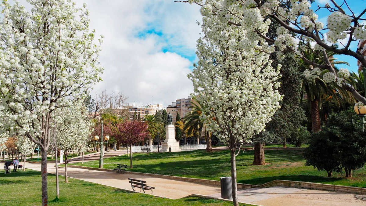 Zaragoza residents have made their priorities clear: these are their plans to improve the city