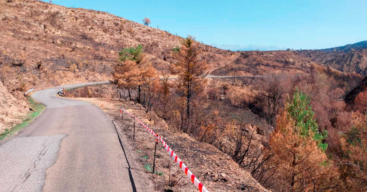 Huesca Provincial Council to Carry Out Emergency Works on Roads Affected by the Peñas de Riglos Wildfire