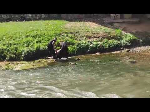 Police wade into Jalón River to remove man refusing to get out in Calatayud