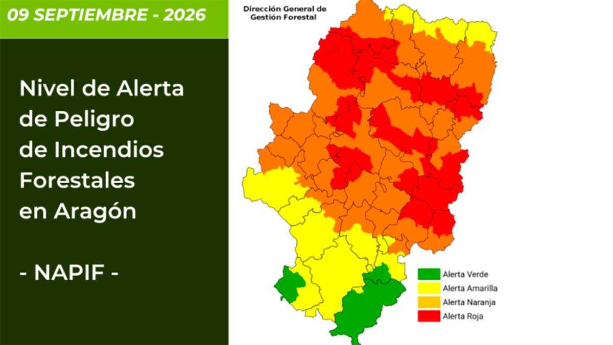 Forest Fire Risk Drops Sharply in Aragon: Only Seven Areas Remain on Red Alert
