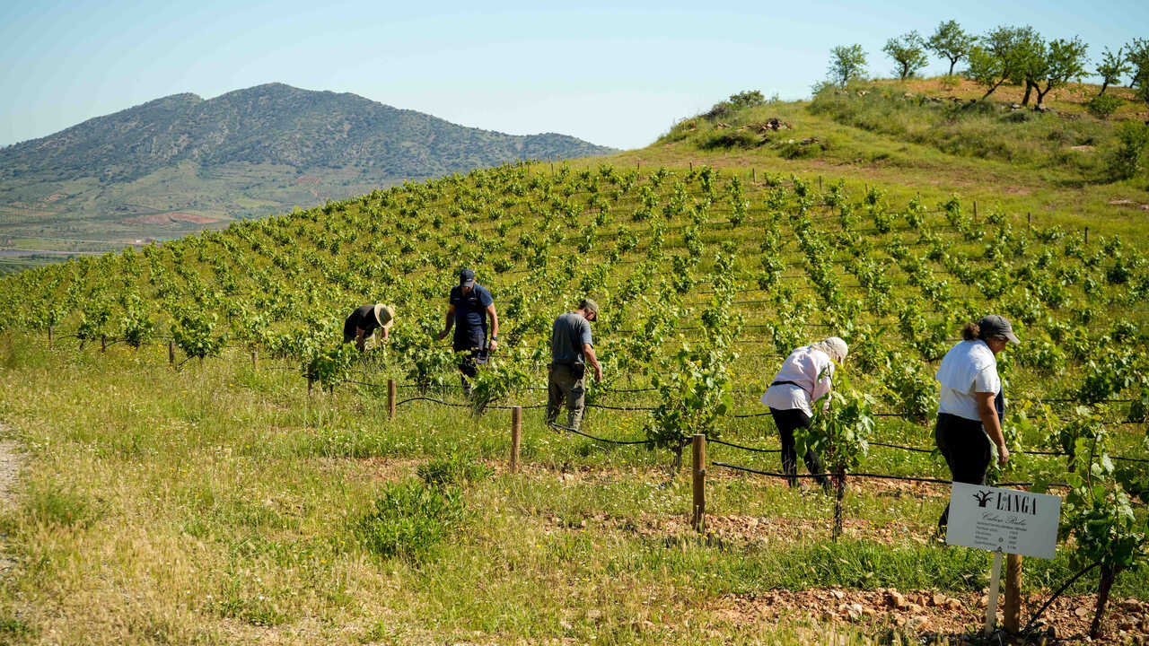 AEGA threatens to take to the streets again: “Aragon’s farming sector is in free fall”