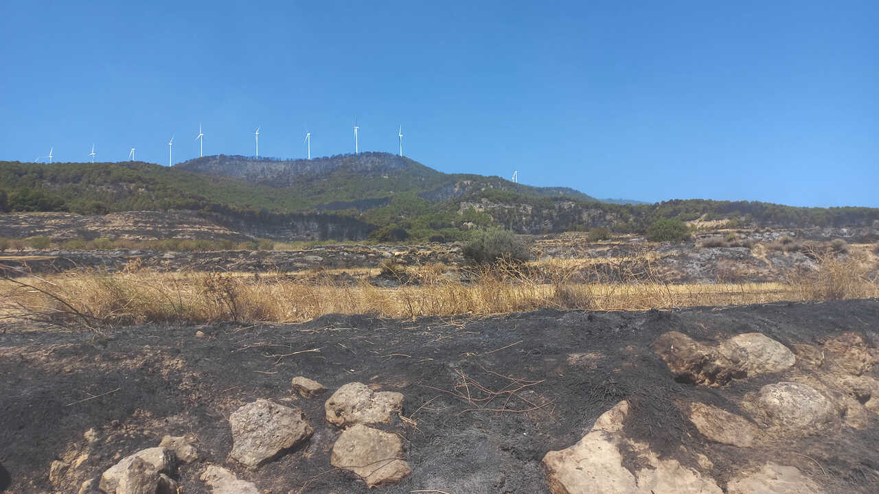 More funding to fight wildfires, but ASAJA Aragón calls for direct support for farmers