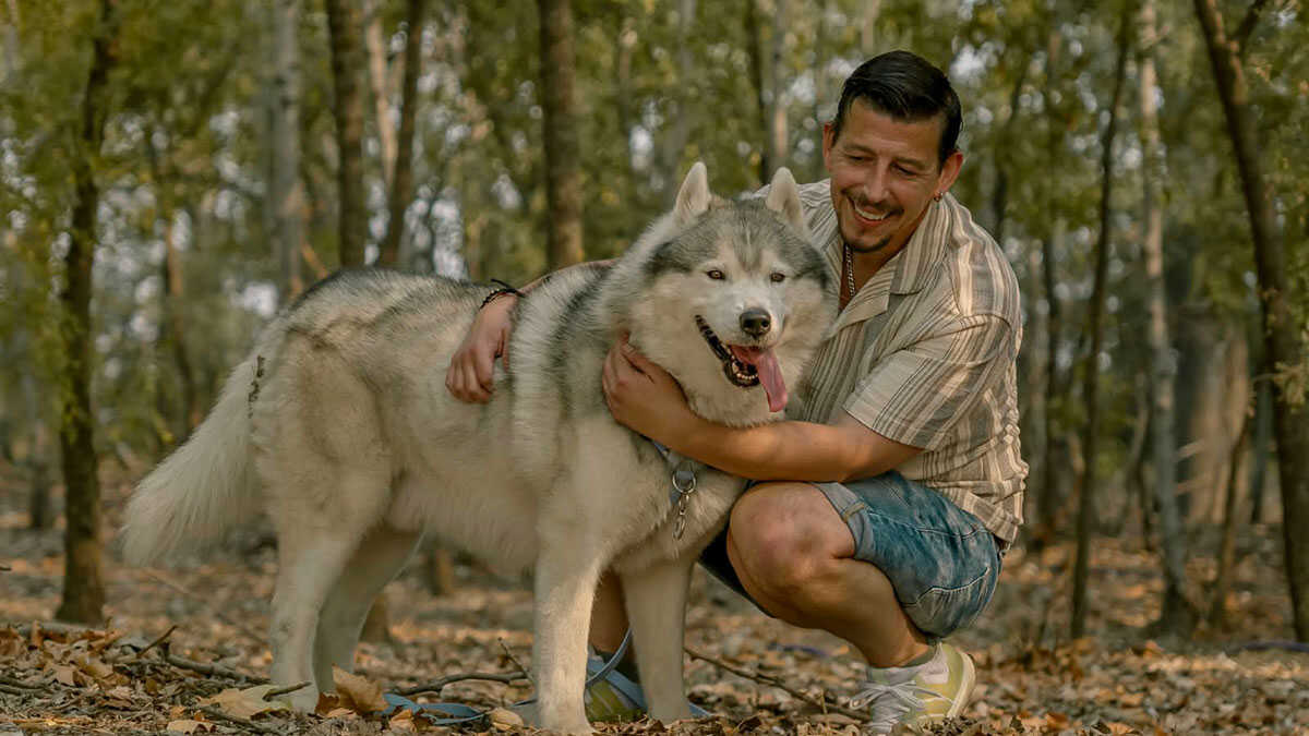 Hero, the Zaragoza husky who is beginning to see the light after months of illness: “His lungs are almost clear”