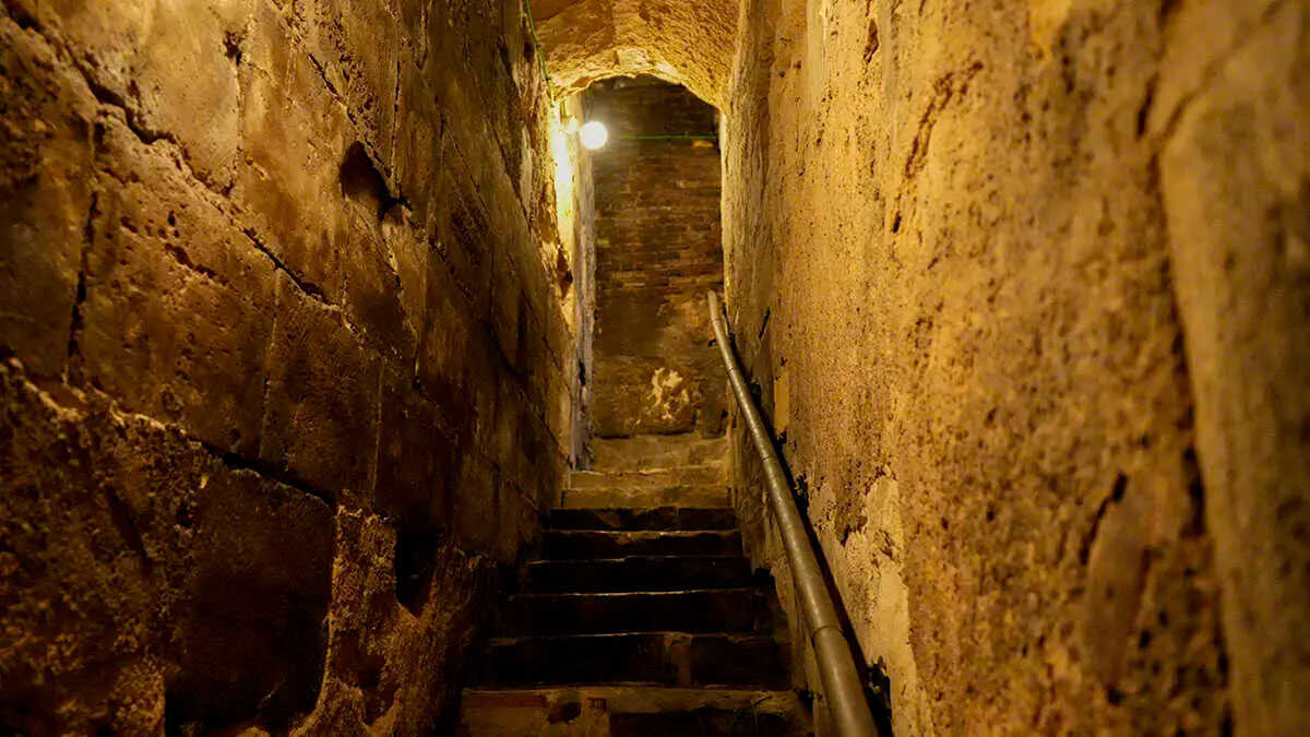From La Seo’s Hidden Crypt to the Air Base: Places to Explore for Free at Open House Zaragoza