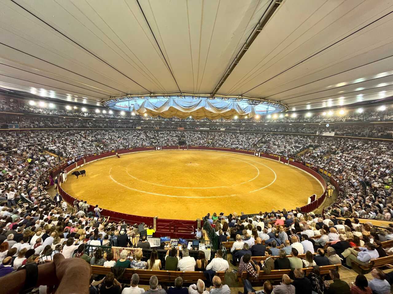New job offer in Zaragoza: 150 positions at the Bullfighting Fair