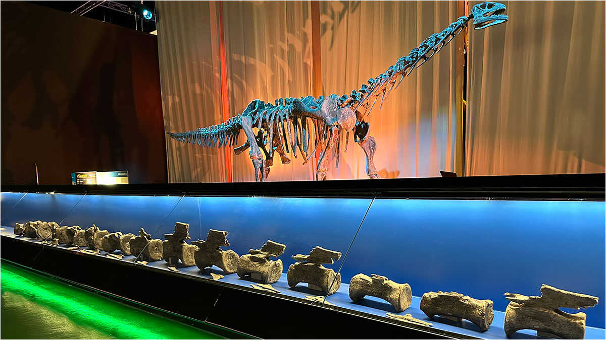 The Giant That Conquered the World Also Roamed Teruel: Europe's First Diplodocus Found