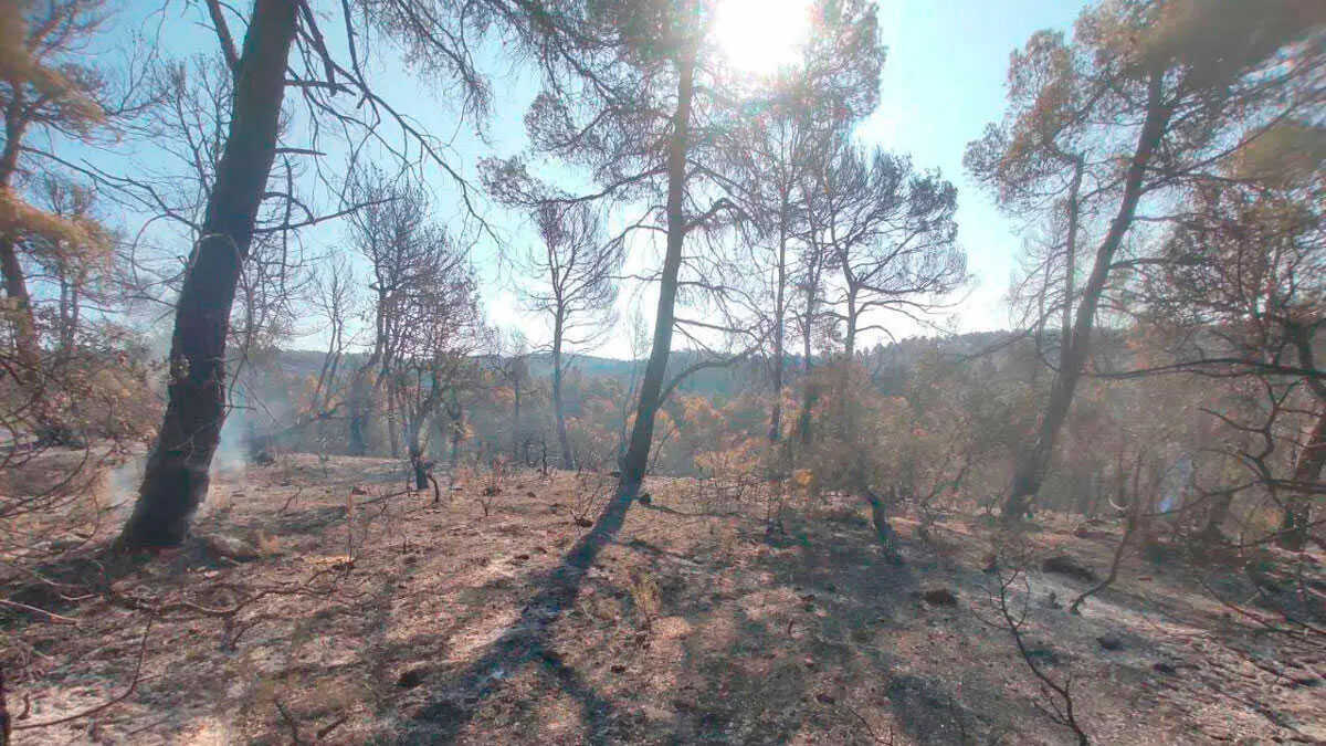 Government declares five areas of Aragon disaster zones following summer wildfires