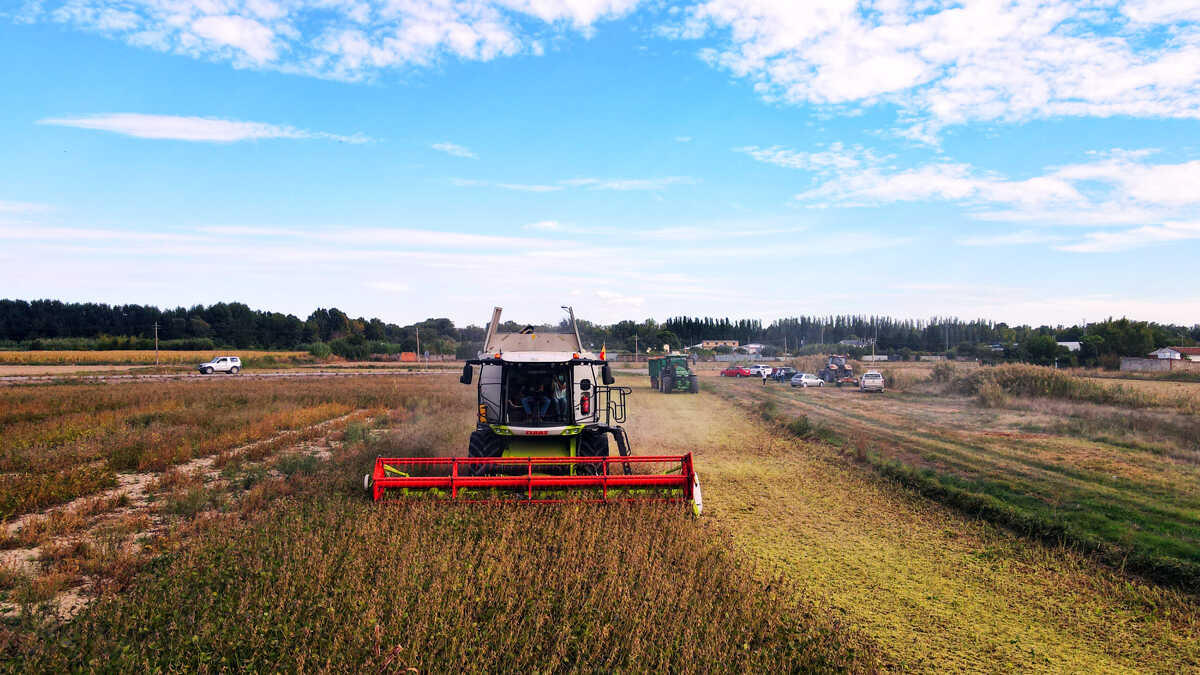 Farmers under pressure as agricultural diesel prices soar 45%