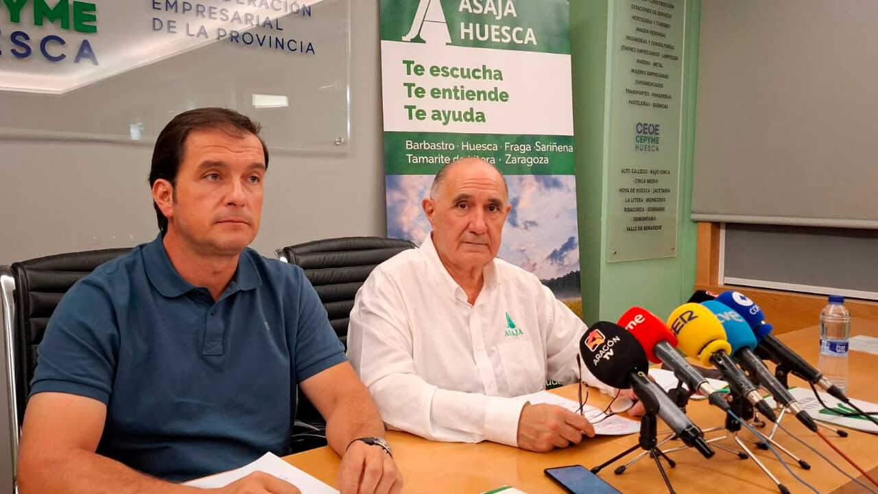 Rising costs squeeze Aragon’s farmers: up to 40% of dryland could go unseeded