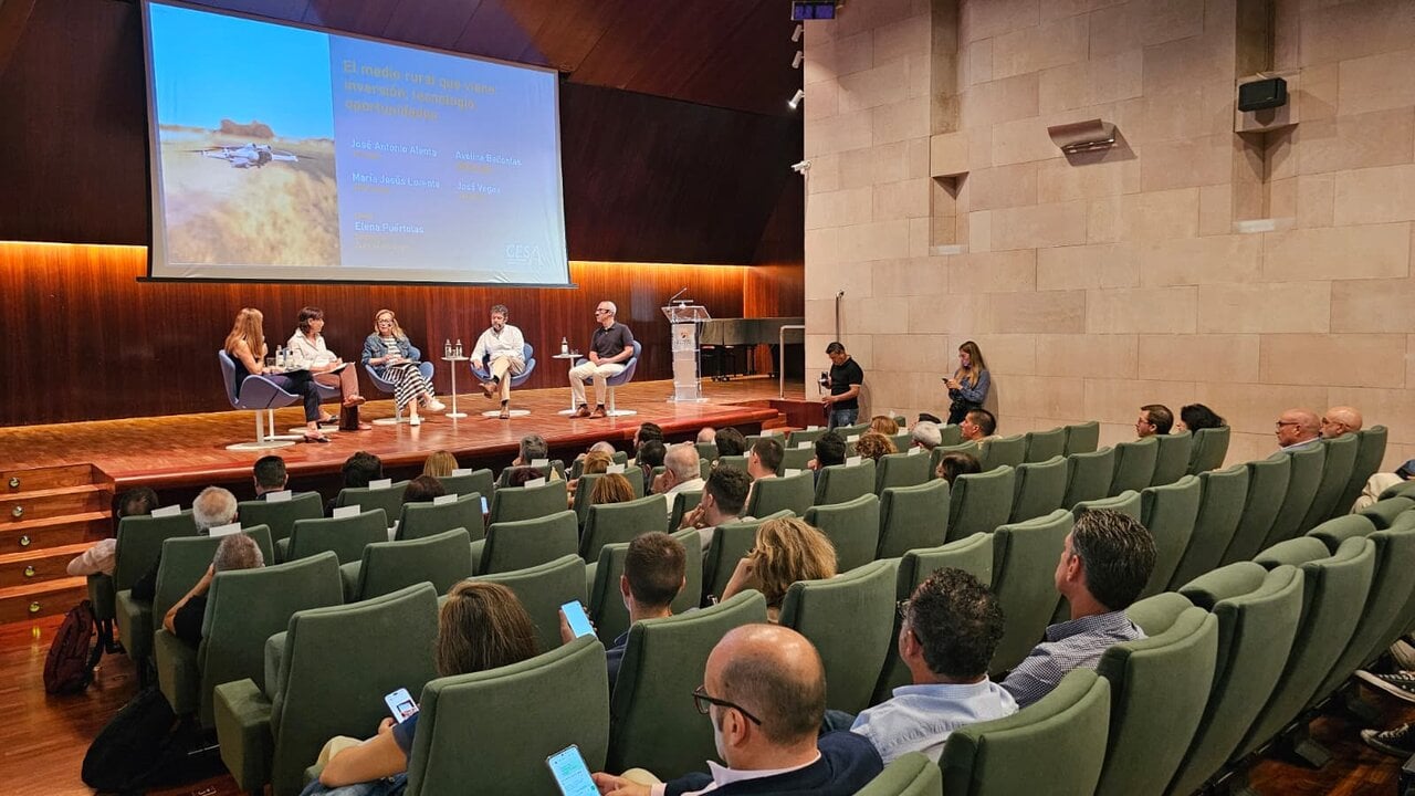 CESA Warns of Housing Problems in Aragon Despite Economic Strength