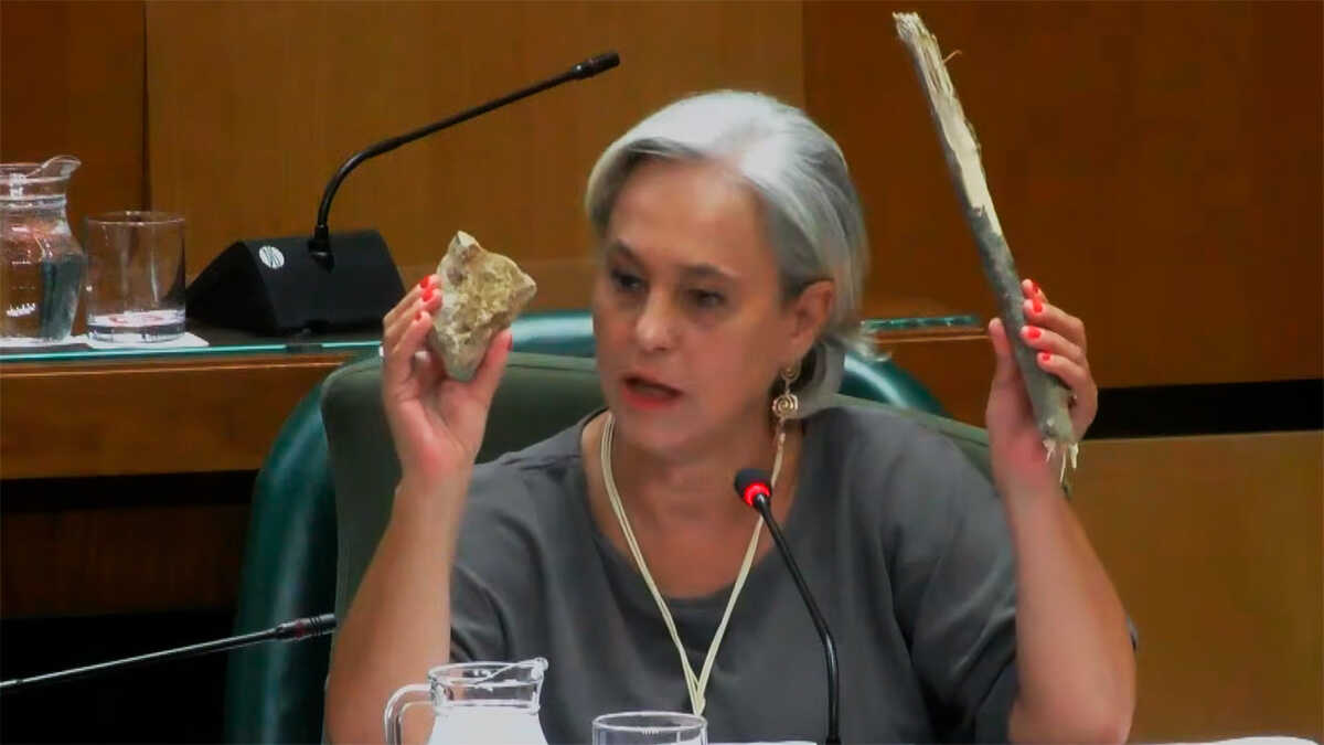 Zaragoza councilor appears with a stick and a stone after Congress pepper spray controversy