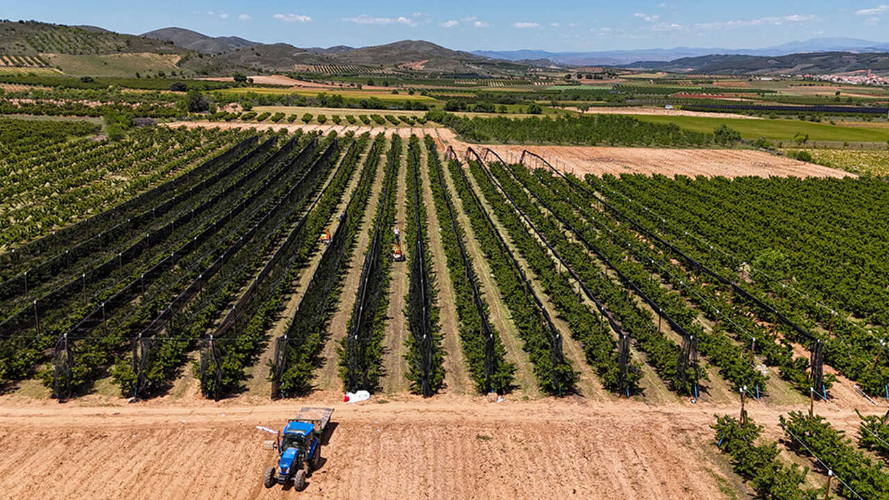 Twenty-five years without agricultural elections: Aragon’s rural sector calls to vote again