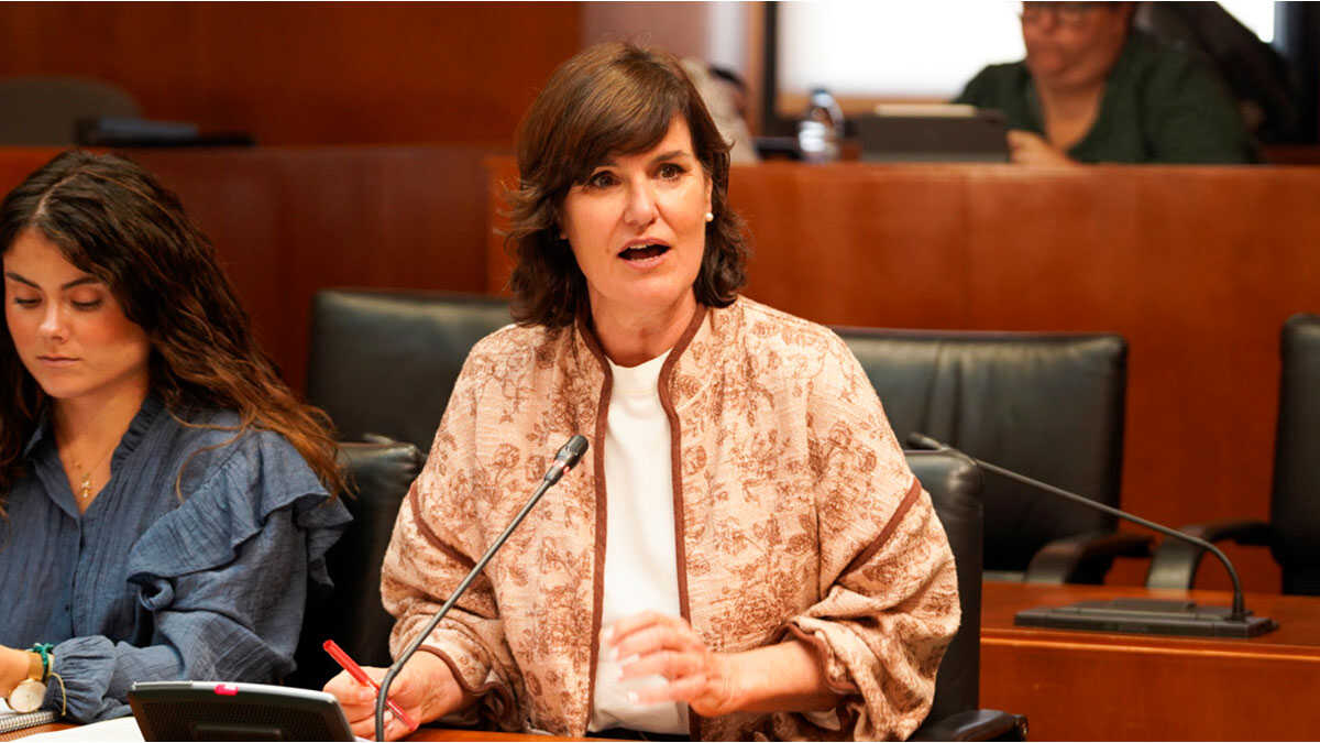 PP pushes in Aragón’s Parliament to protect popular bullfighting as intangible BIC