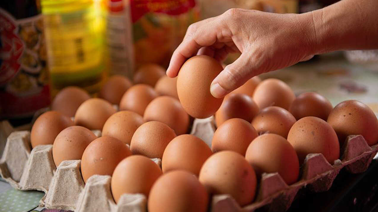 Not One or Two a Week: How Many Eggs People in Aragon Eat Each Year