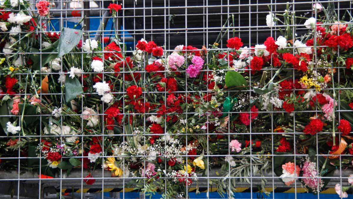 What Happens to the Flowers from the Pilar Offering When They Are Removed? Their Fate May Surprise You