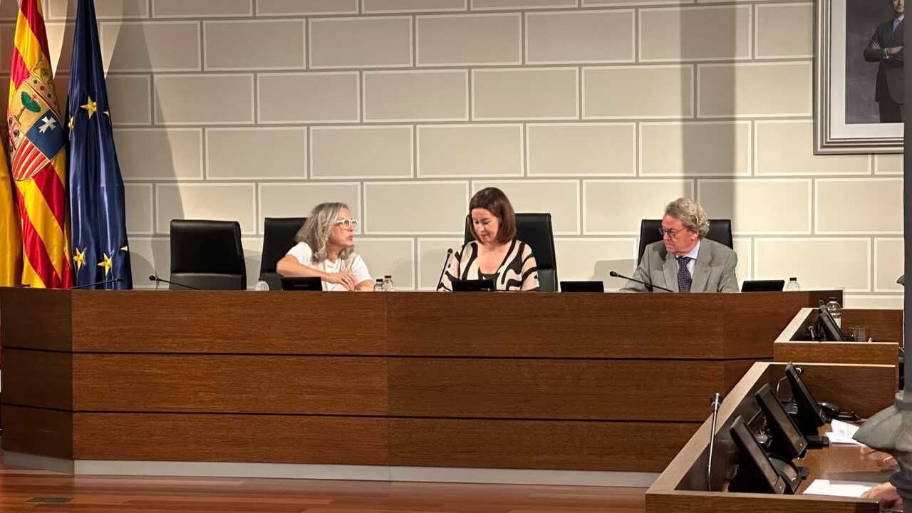 DPZ plenary: negotiations with firefighters and controversy over young bull event tickets
