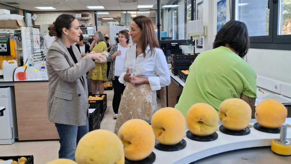 From in vitro cultivation to monitored sheep: cutting-edge projects under research in Aragon