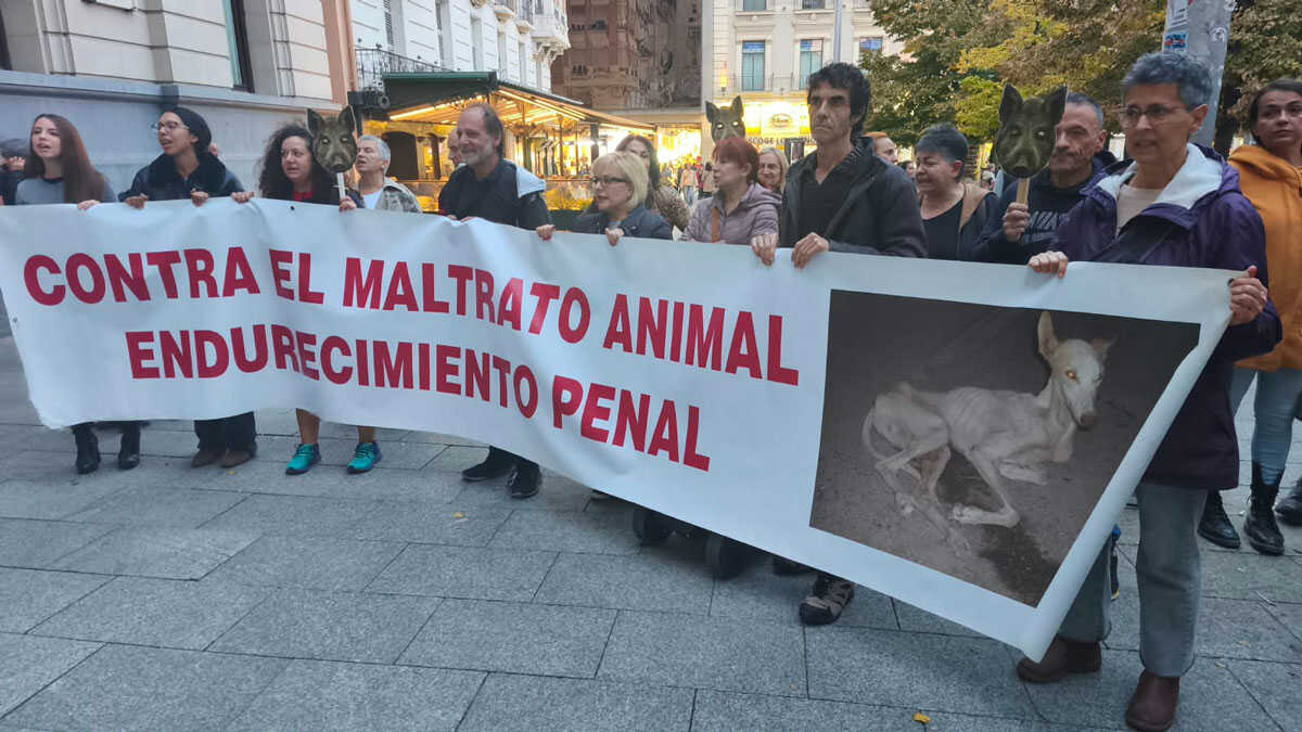 “We Want Festivals Without Animal Abuse”: Around 50 People Protest Wild Boar’s Death in Zaragoza