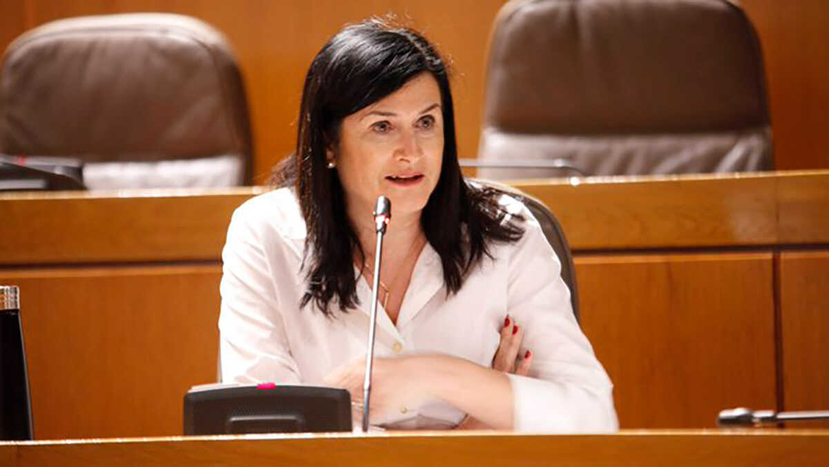 CHA calls for stable funding and official recognition for Zaragoza’s Violería School