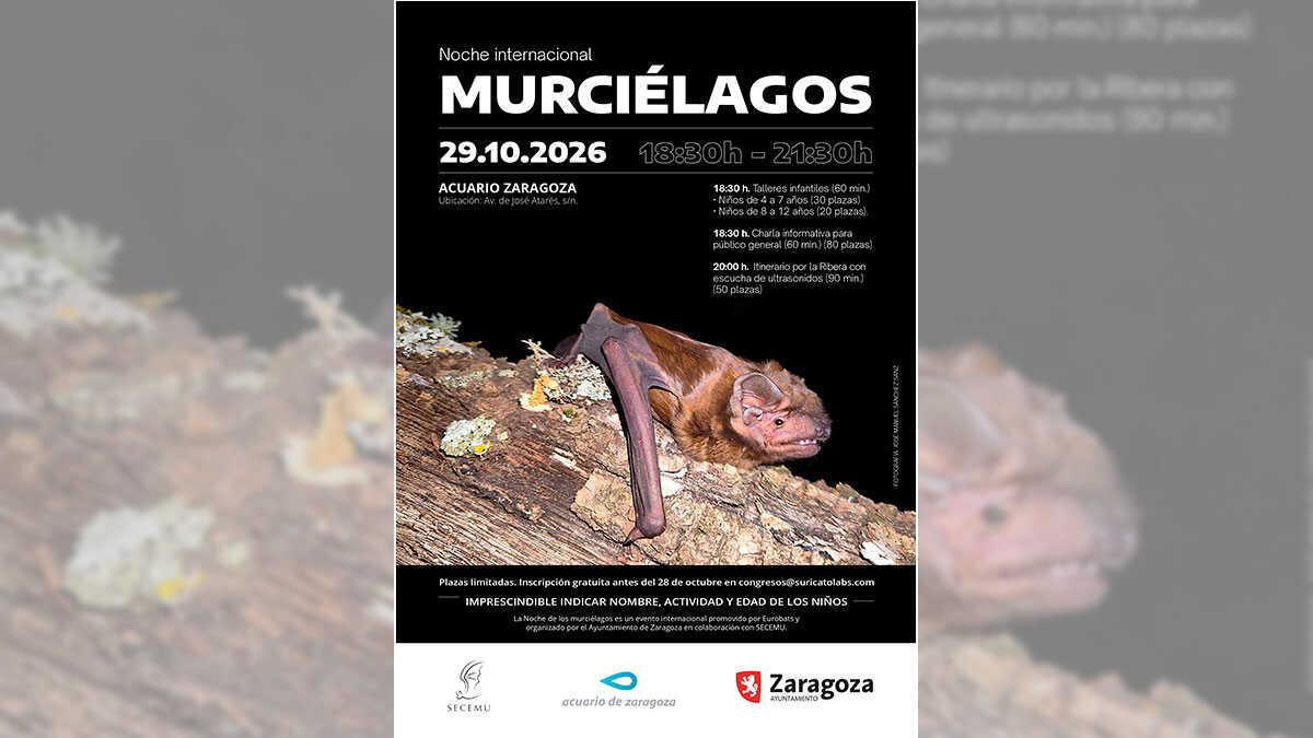 Zaragoza hosts Bat Night to highlight the benefits of bats