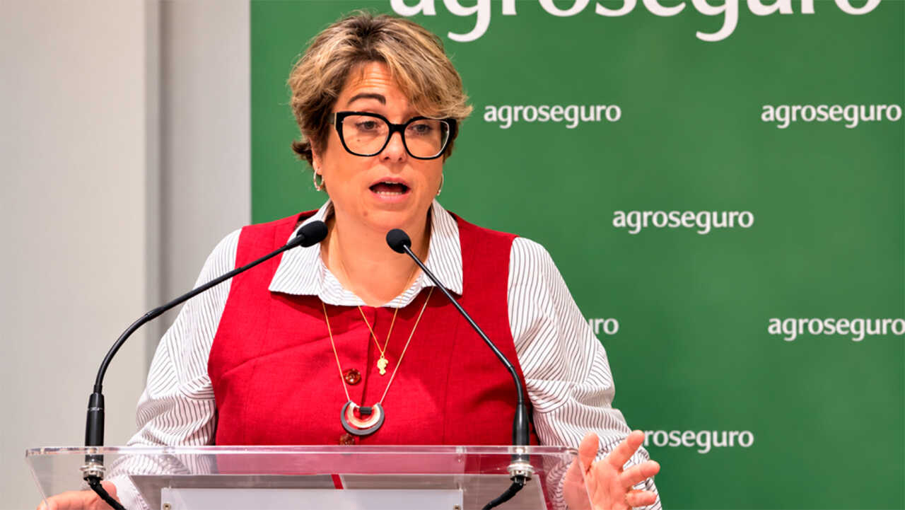 Aragon to provide €13 million in agricultural insurance aid in 2027