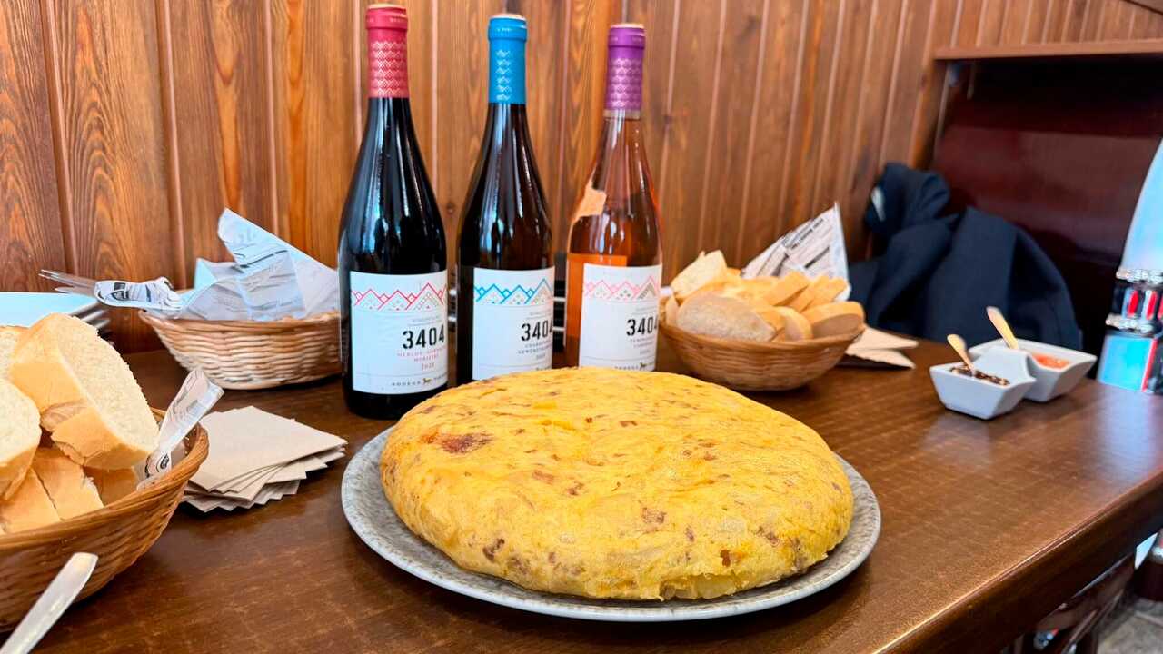 Zaragoza Seeks the City's Best Tortilla Again: 41 Tortillas, One Winner
