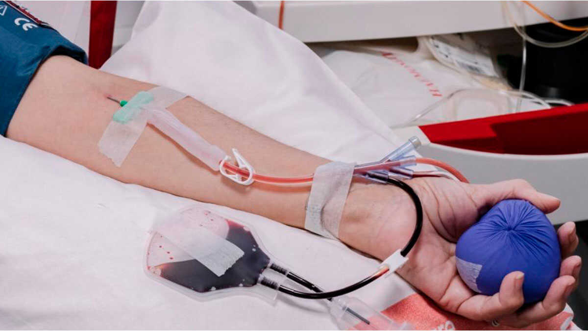Aragon residents double blood donations in a single day after Urda rail accident
